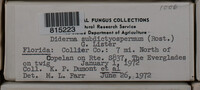 Image Associated With the Occurence
